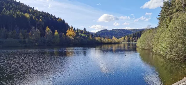 Herbstspaziergang an der Nagoldtalsperre